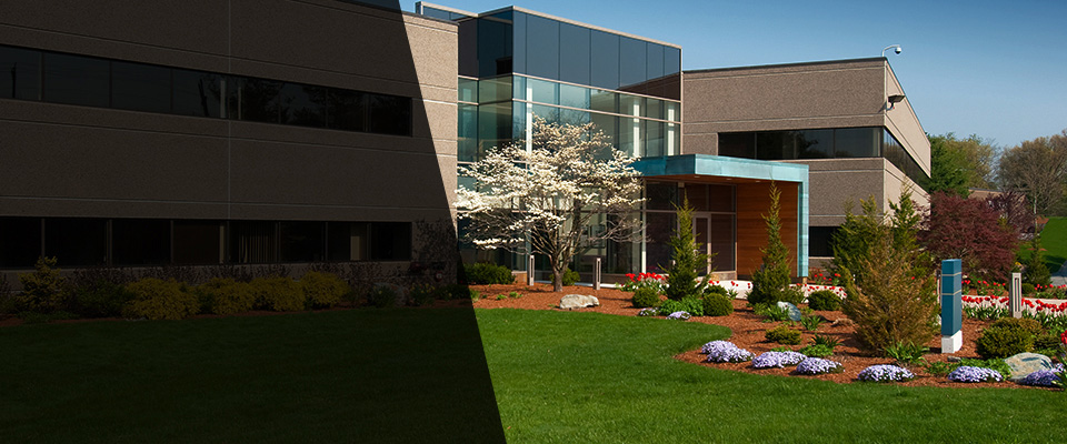 South Paris Landscapers