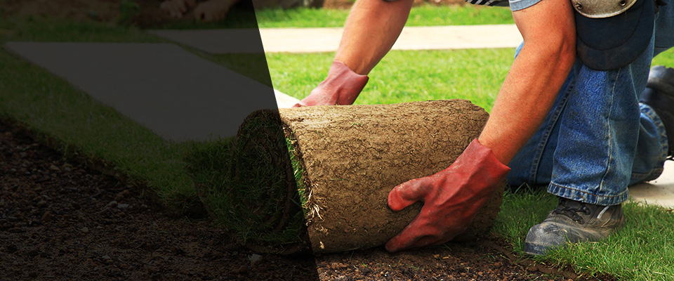 South Paris Landscapers